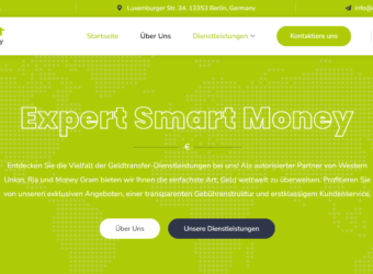 screencapture-ExpertSmartMoney-wordpress-business-website