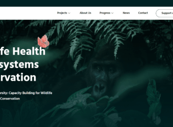 screencapture-WildSpiritFund-wordpress-business-website